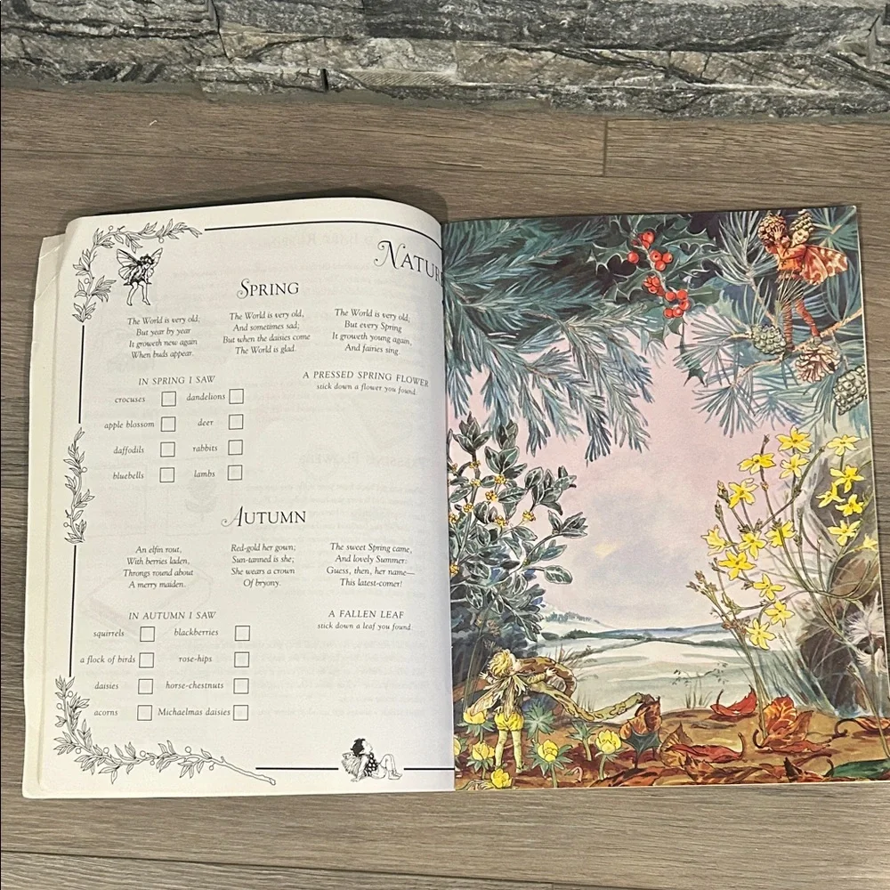 The Flower Fairies Sticker‎ Activity Book